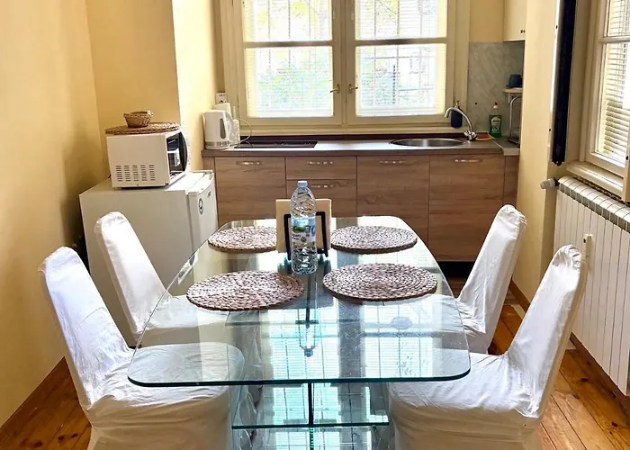 Big & Cozy Central Apartment