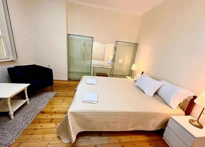 Big & Cozy Central Apartment