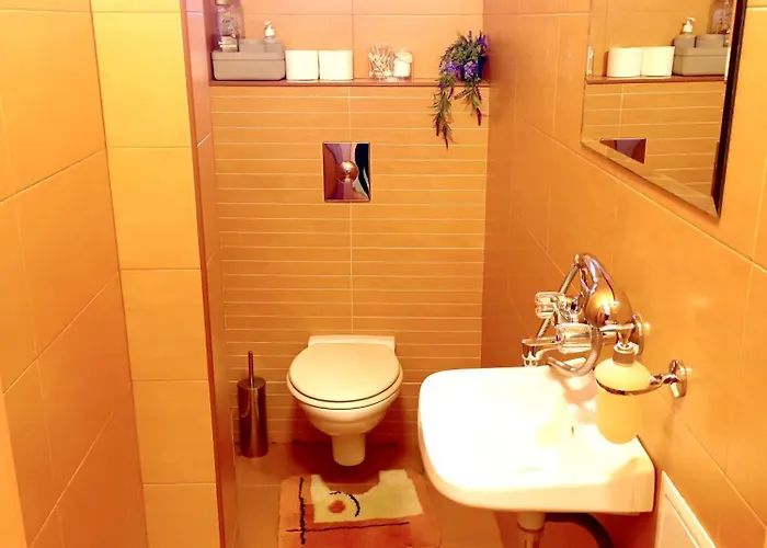 Апартаменты Big & Cozy