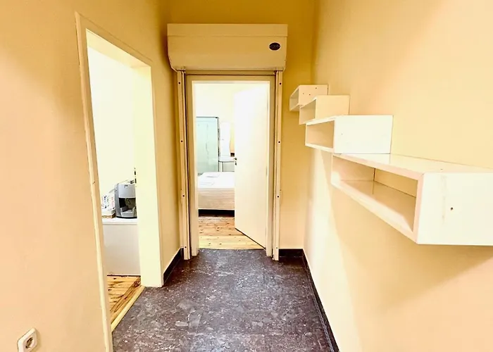 Big & Cozy Central Apartment 公寓 *